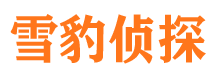 青川市调查公司